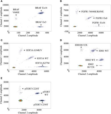 Multiplexed Droplet Digital PCR Assays for the Simultaneous Screening of Major Genetic Alterations in Tumors of the Central Nervous System